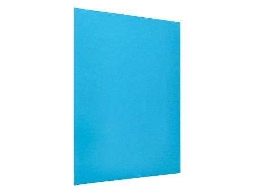 Classificador liderpapel em cartolina de 180 gr din a4 celeste intenso , Liderpapel , 29024 , 8423473290242